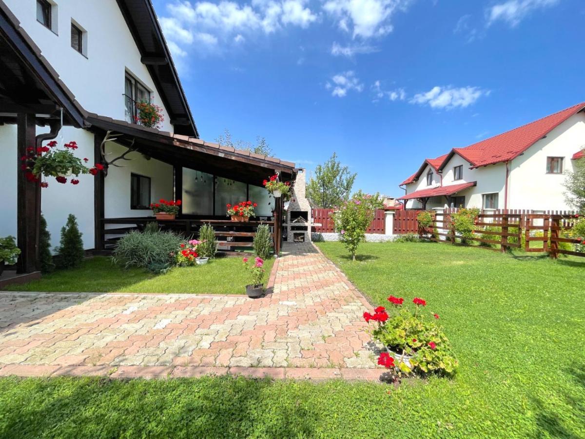 Vila Rolizo Braşov Exterior foto