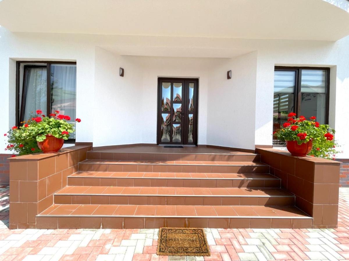 Vila Rolizo Braşov Exterior foto